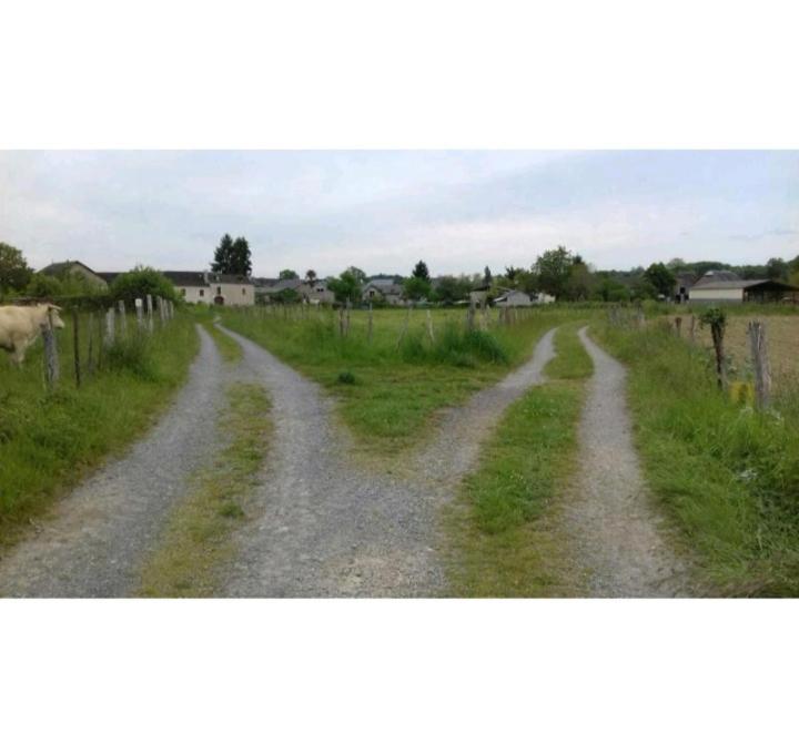 Gite Les Petits Chemins Ledeuix Buitenkant foto