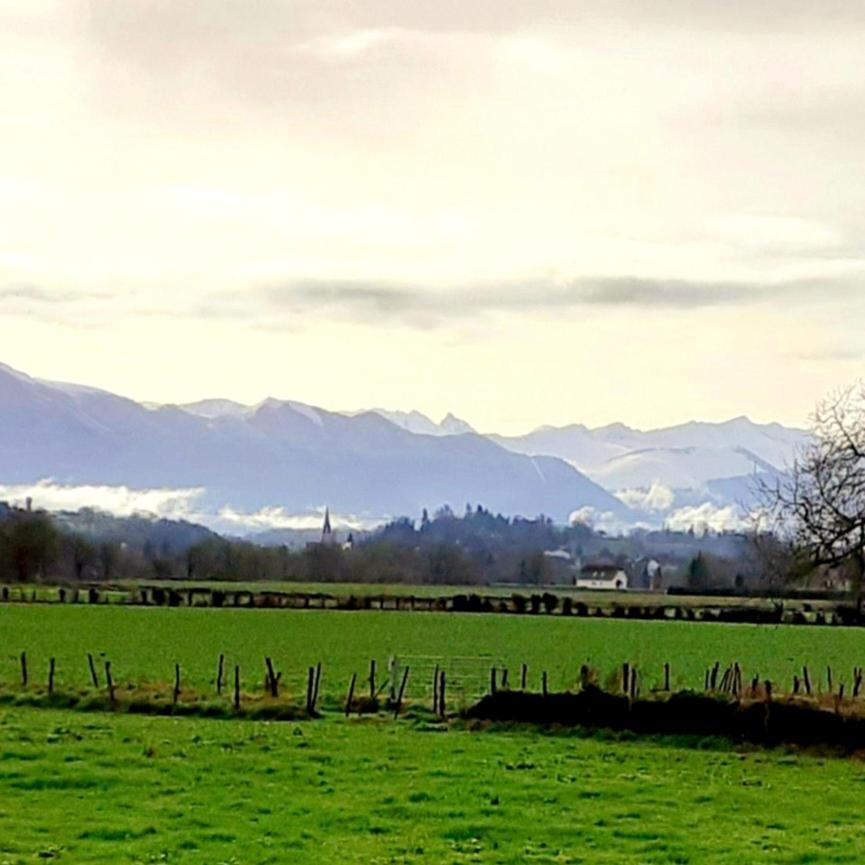 Gite Les Petits Chemins Ledeuix Buitenkant foto